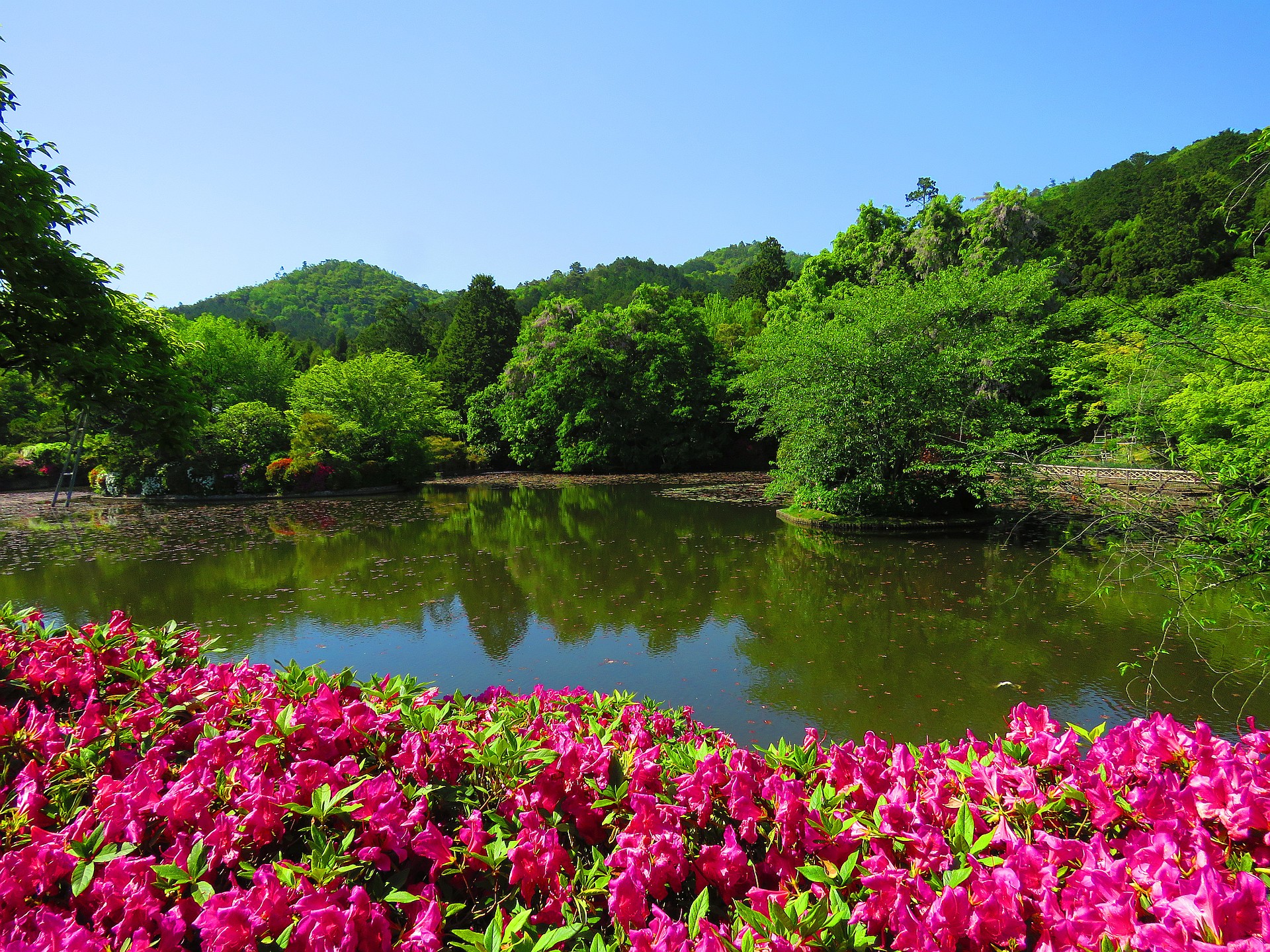日本の風景 京都竜安寺の新緑の鏡容池 壁紙19x1440 壁紙館