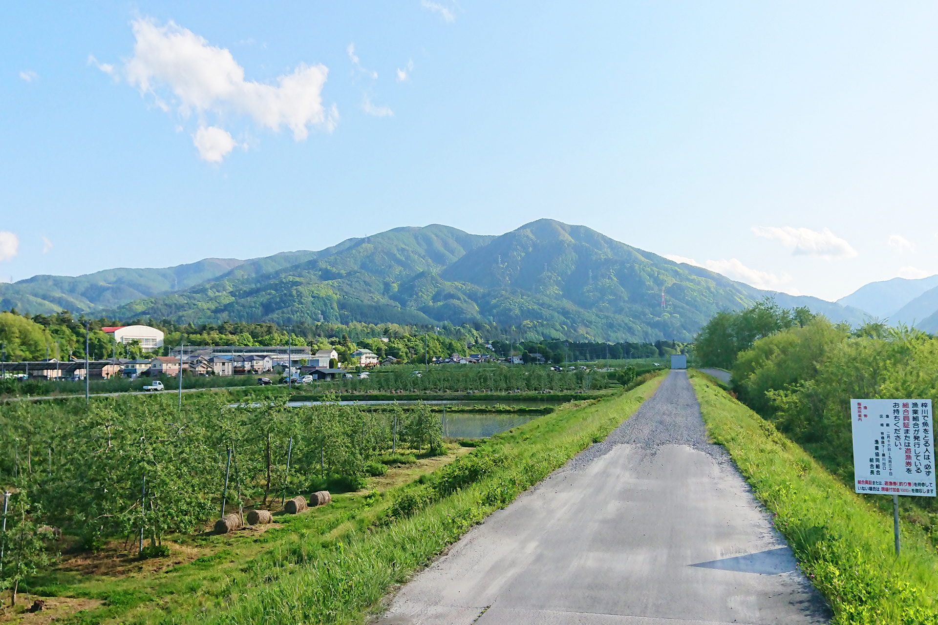 日本の風景 春の癒しの新緑 壁紙19x1280 壁紙館