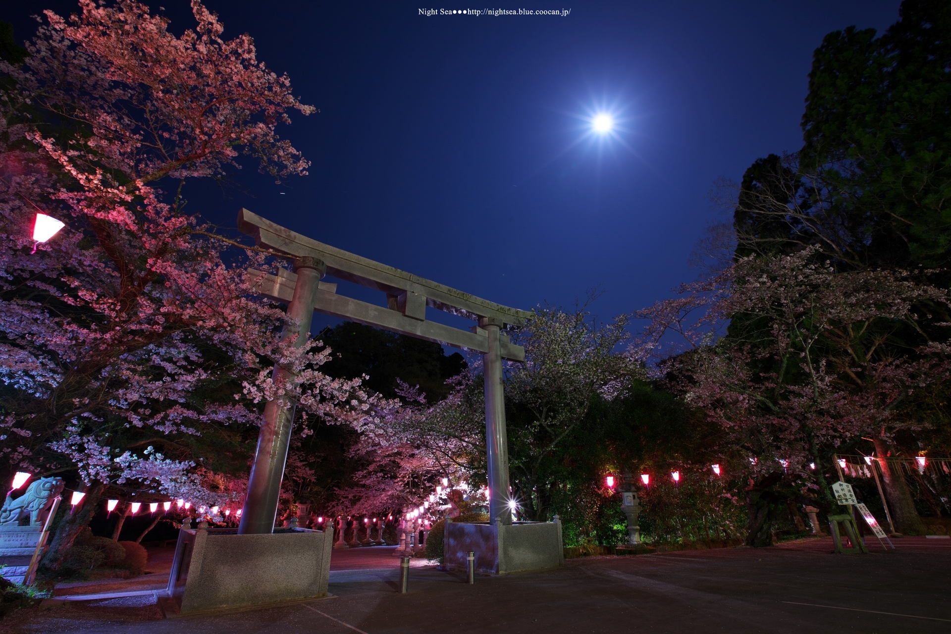 星 宇宙 空 桜色の月夜 壁紙19x1280 壁紙館