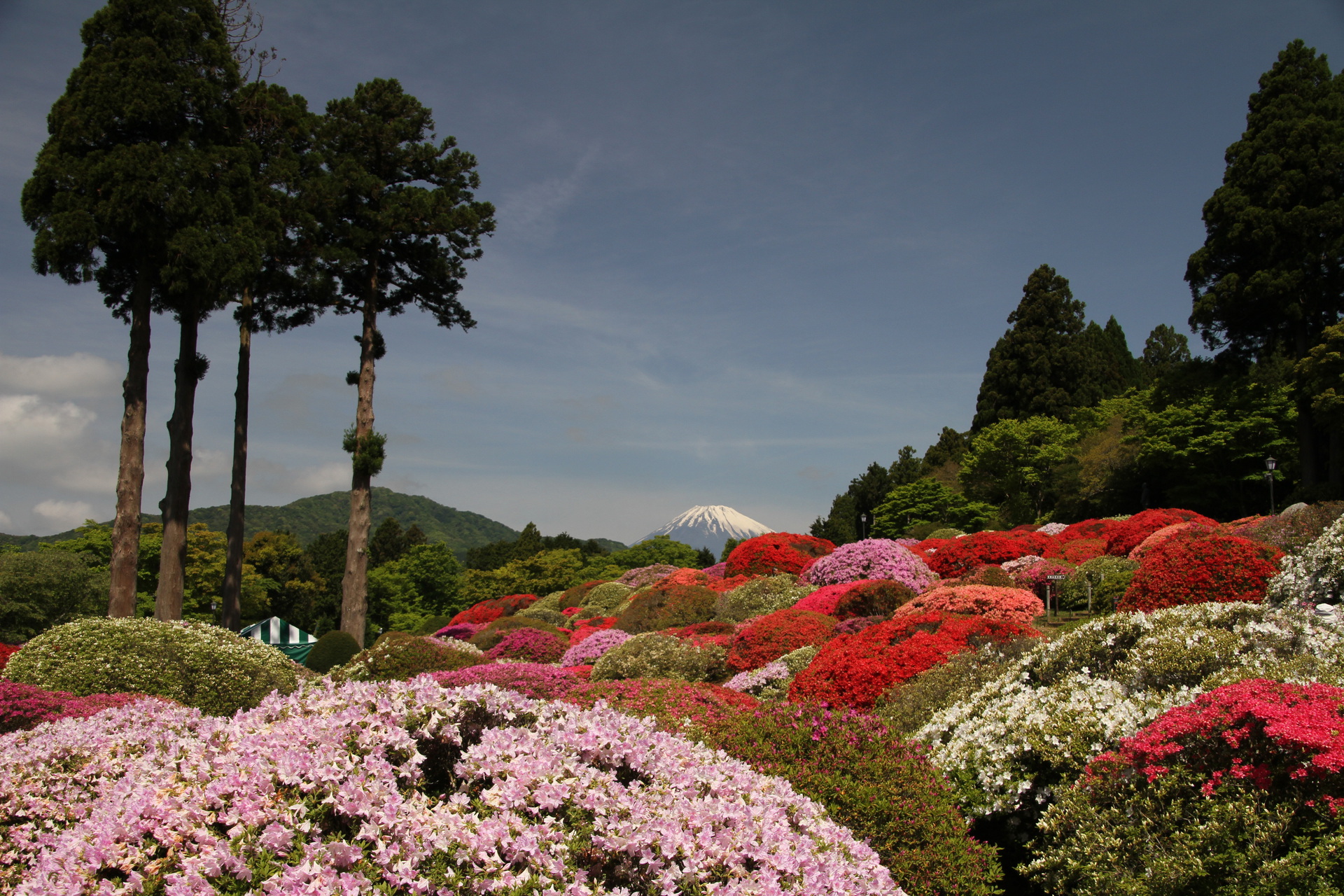 日本の風景 素敵な庭園 壁紙19x1280 壁紙館 日本の風景 素敵な庭園 壁紙19x1280 壁紙館