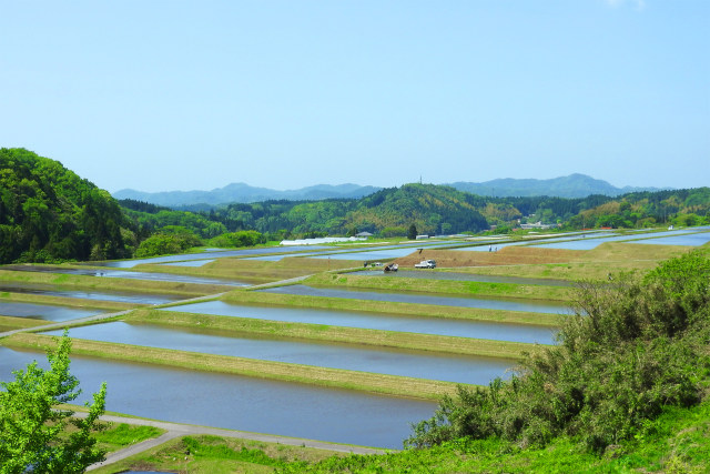 高原の棚田-田植の季節