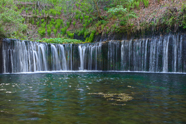 軽井沢 白糸の滝