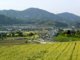 田舎町の自動車道