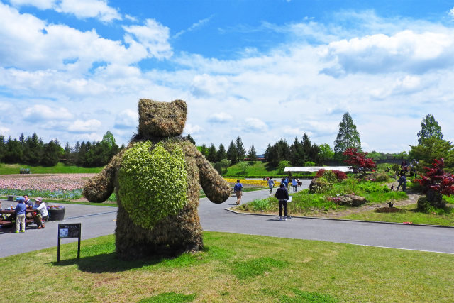 春の国営備北丘陵公園9