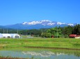 初夏のくりはら