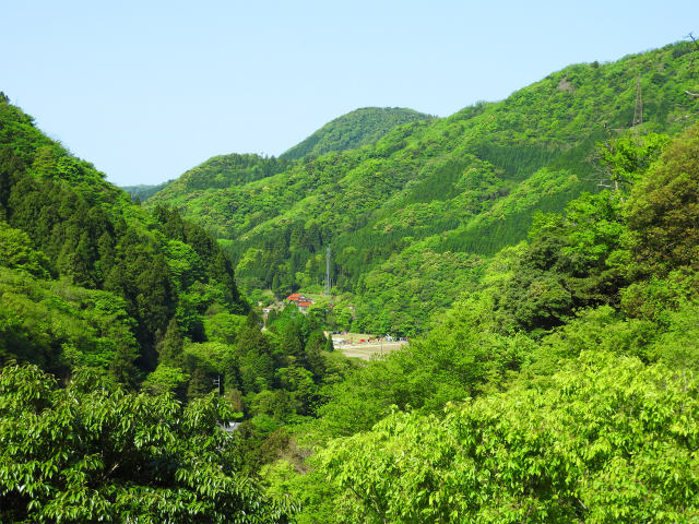 立久恵峡-新緑11