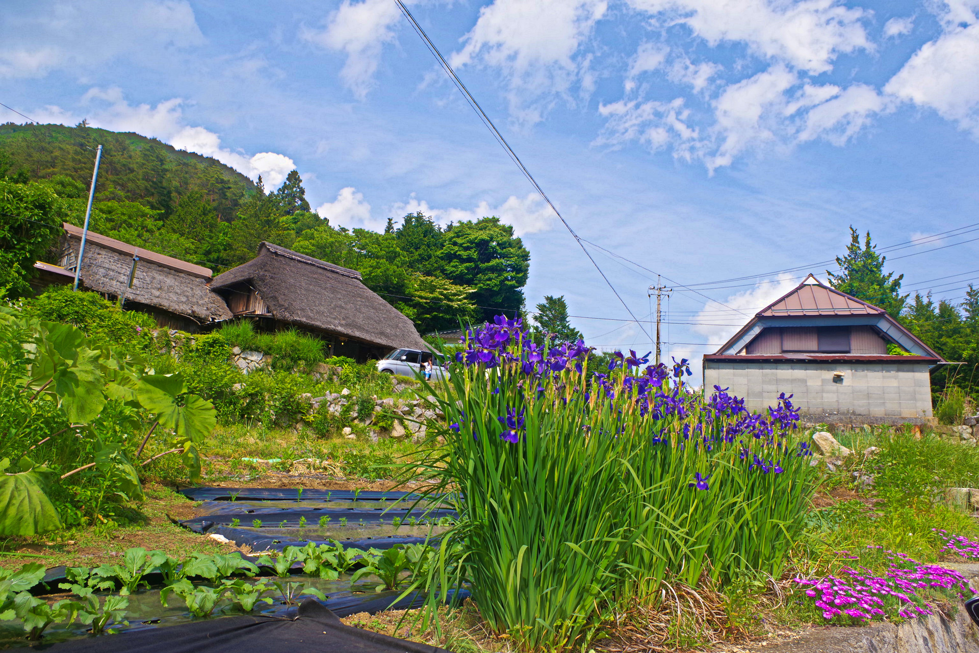 日本の風景 日本の原風景 笛吹市芦川町 壁紙19x1280 壁紙館