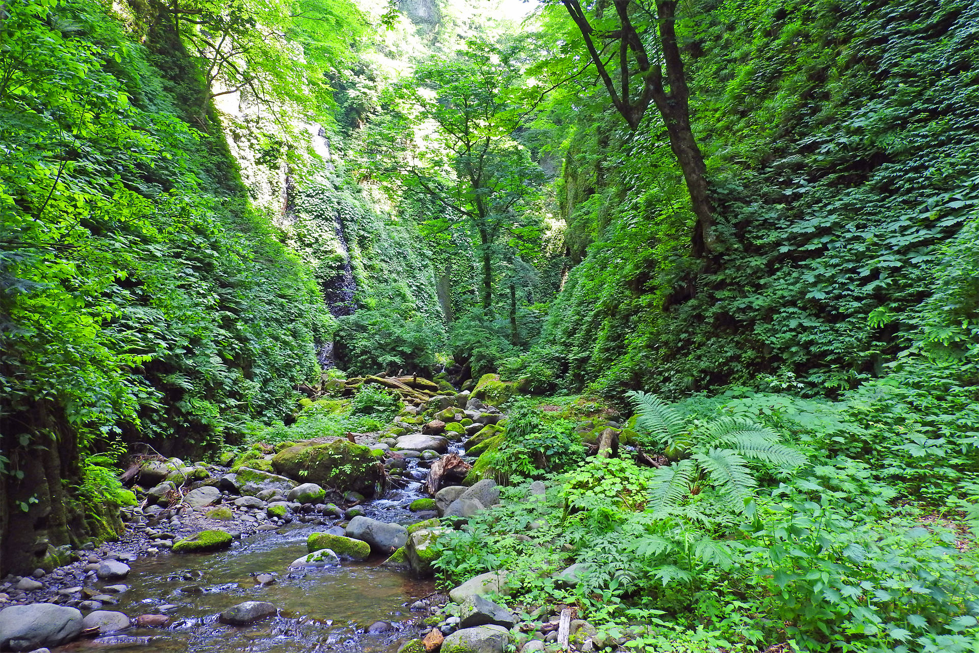 日本の風景 緑の渓谷 小股川渓谷 壁紙19x1280 壁紙館