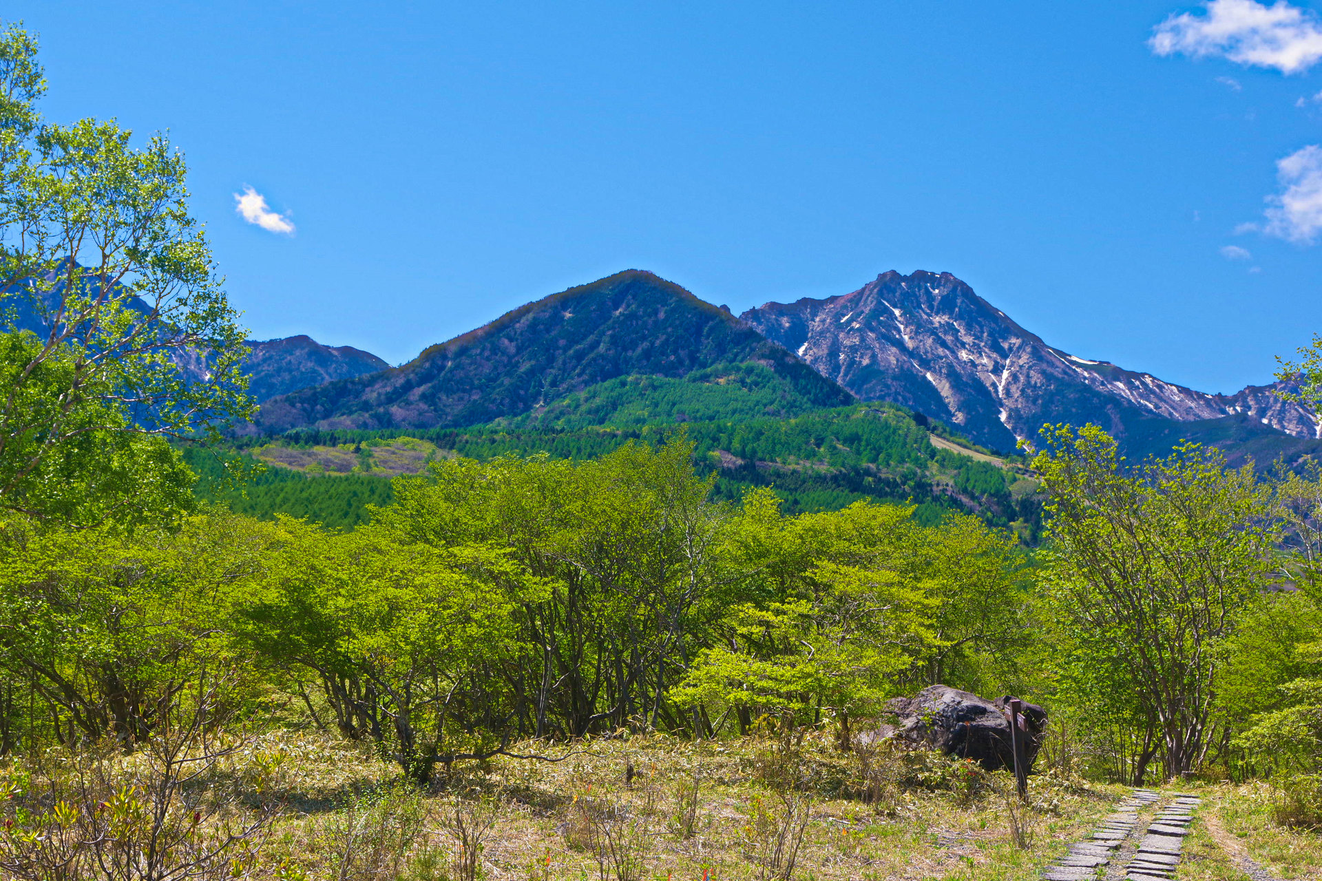 日本の風景「美し森から望む八ヶ岳」壁紙1920x1280 壁紙館