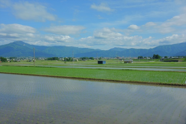 初夏の小矢戸から望む大野盆地