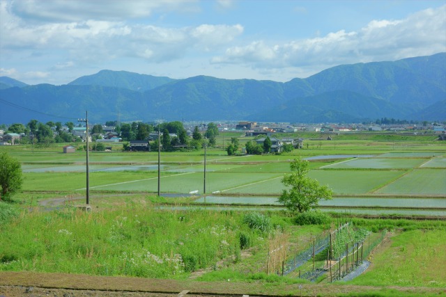 初夏の小矢戸