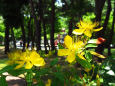 RndList[3]