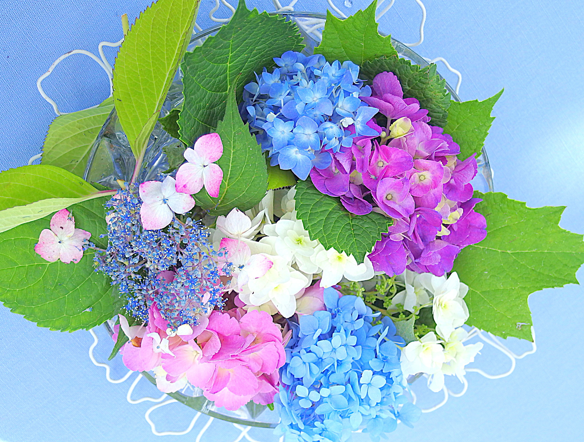 花 植物 紫陽花の水盤 壁紙19x1456 壁紙館 花 植物 紫陽花の水盤 壁紙19x1456 壁紙館