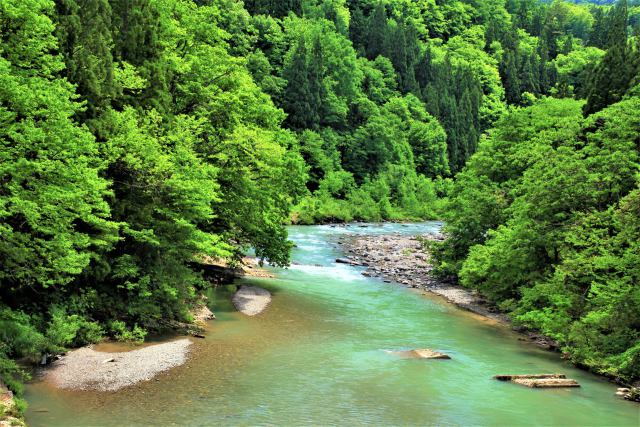 初夏の渓流