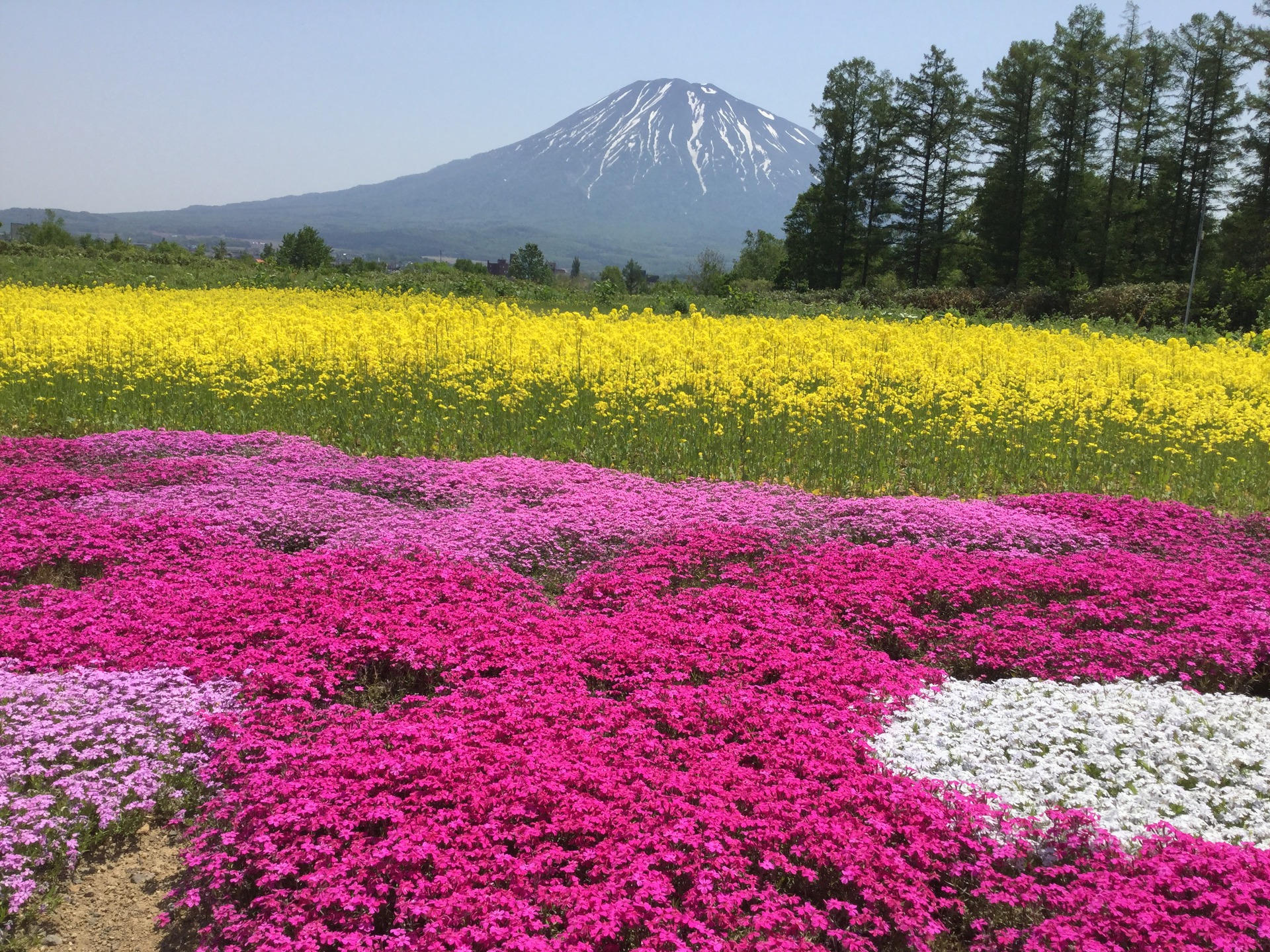 日本の風景 癒しの風景 壁紙19x1440 壁紙館