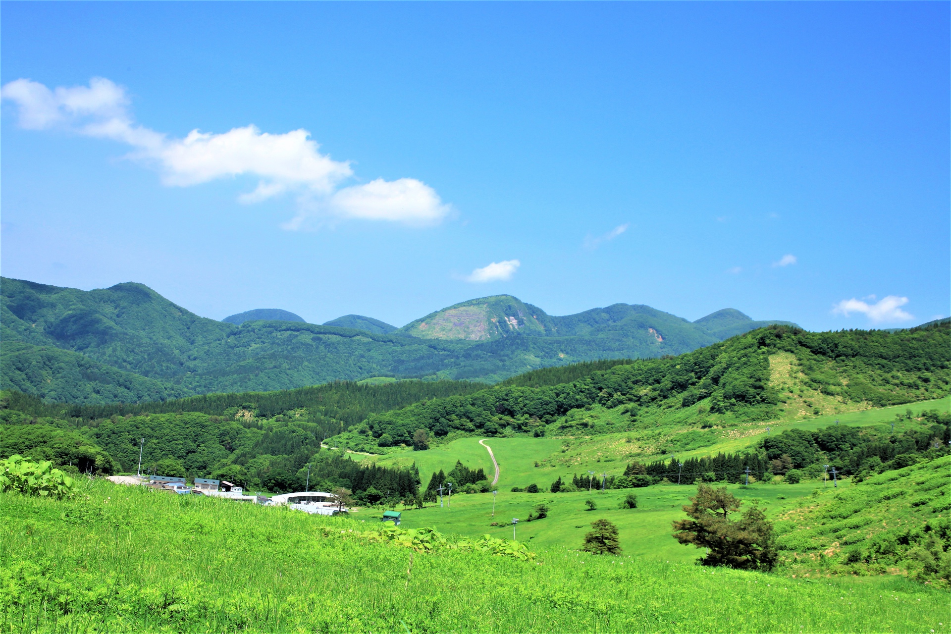 日本の風景 初夏の草原 壁紙19x1280 壁紙館