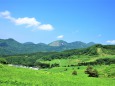 初夏の草原