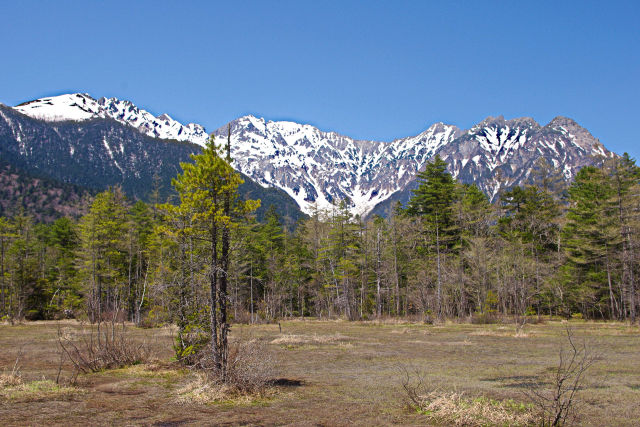 田代湿原から穂高連峰