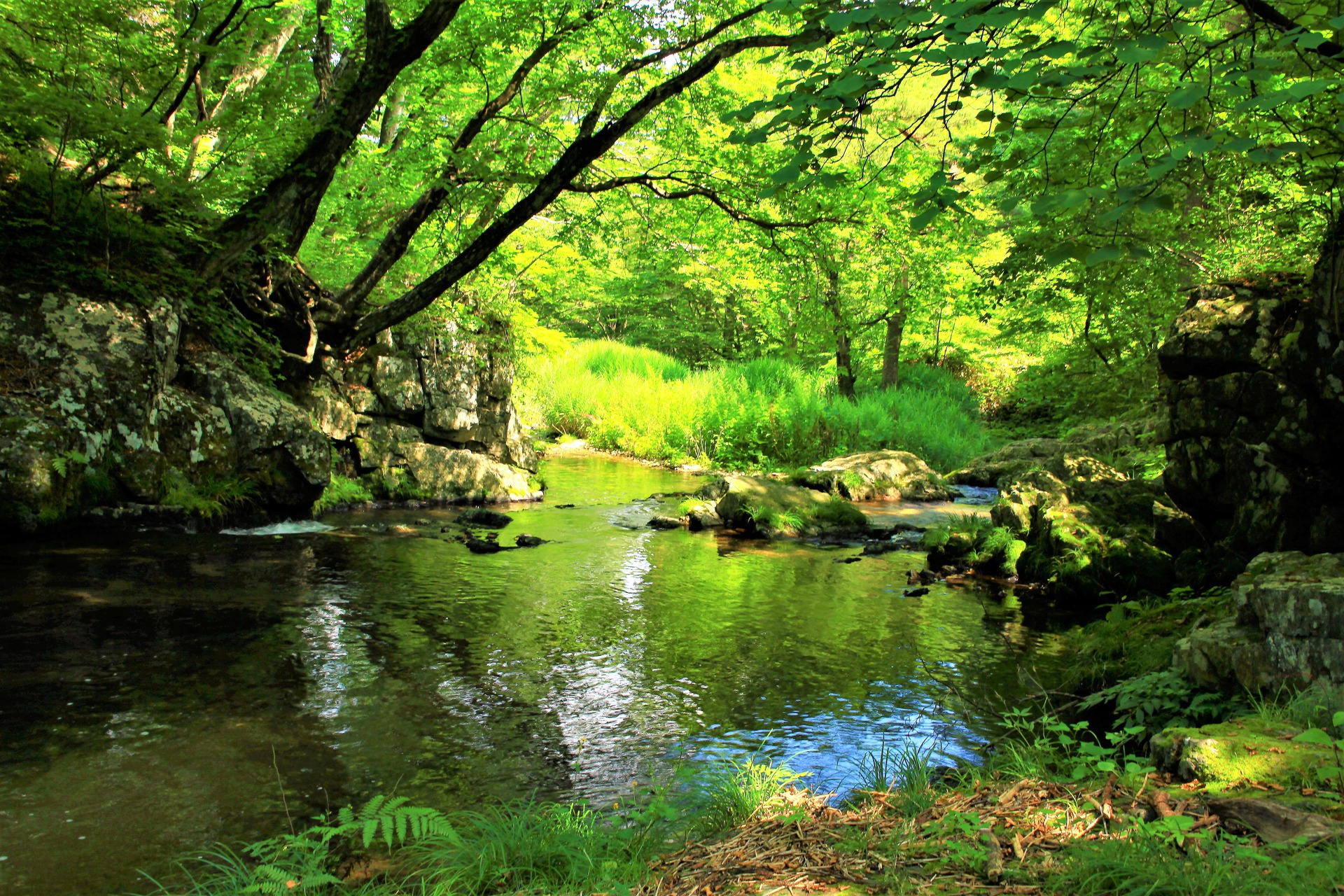 日本の風景 夏の渓流 壁紙19x1280 壁紙館