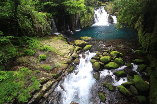 災害後の菊池渓谷2