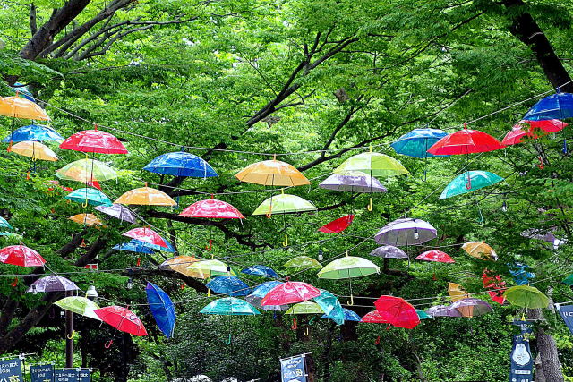 蓮祭会場エントランスの風景
