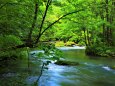 夏の渓流