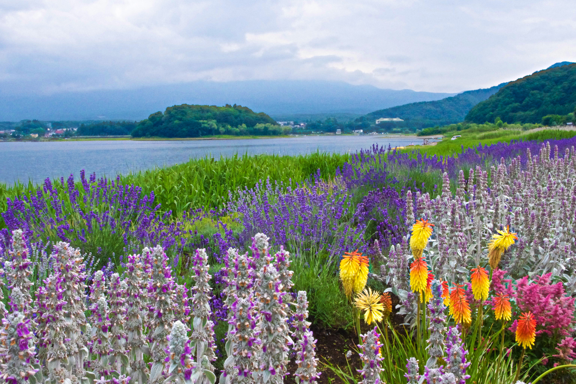 日本の風景 河口湖畔 初夏の風景 壁紙19x1280 壁紙館