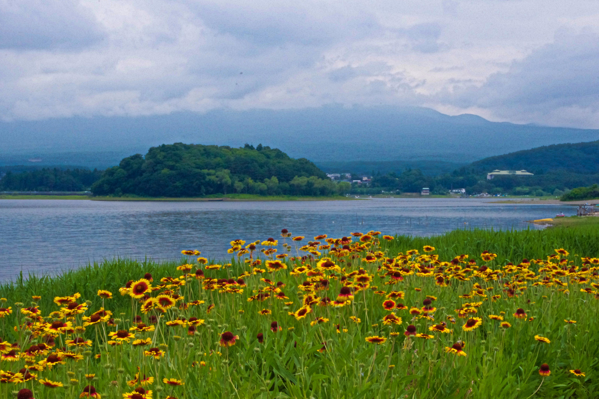 日本の風景 河口湖畔 初夏の風景 壁紙19x1280 壁紙館