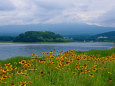 河口湖畔 初夏の風景