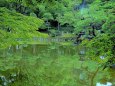 日比谷公園雲形池の映り込み