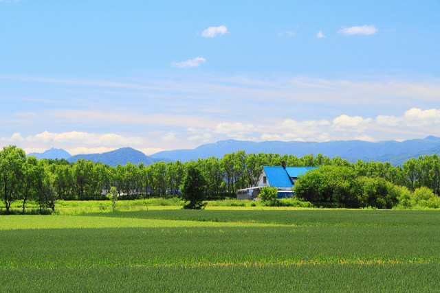 初夏の石狩平野 5～青い屋根の家