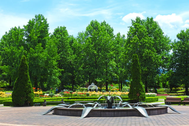 公園の一角3-とっとり花回廊