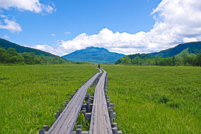尾瀬 木道遥かに