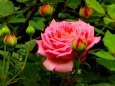 RndList[3]
