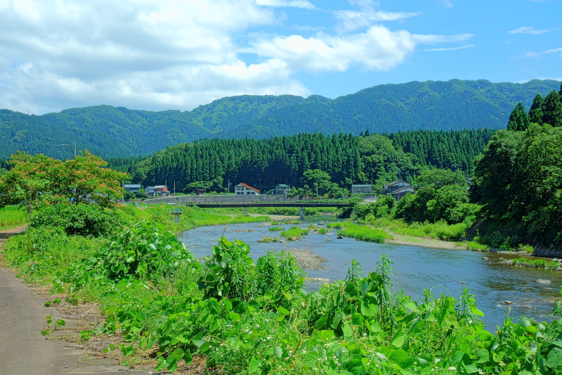 日本の風景 美山を流れる夏の足羽川 壁紙19x1280 壁紙館