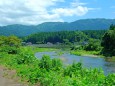 美山を流れる夏の足羽川