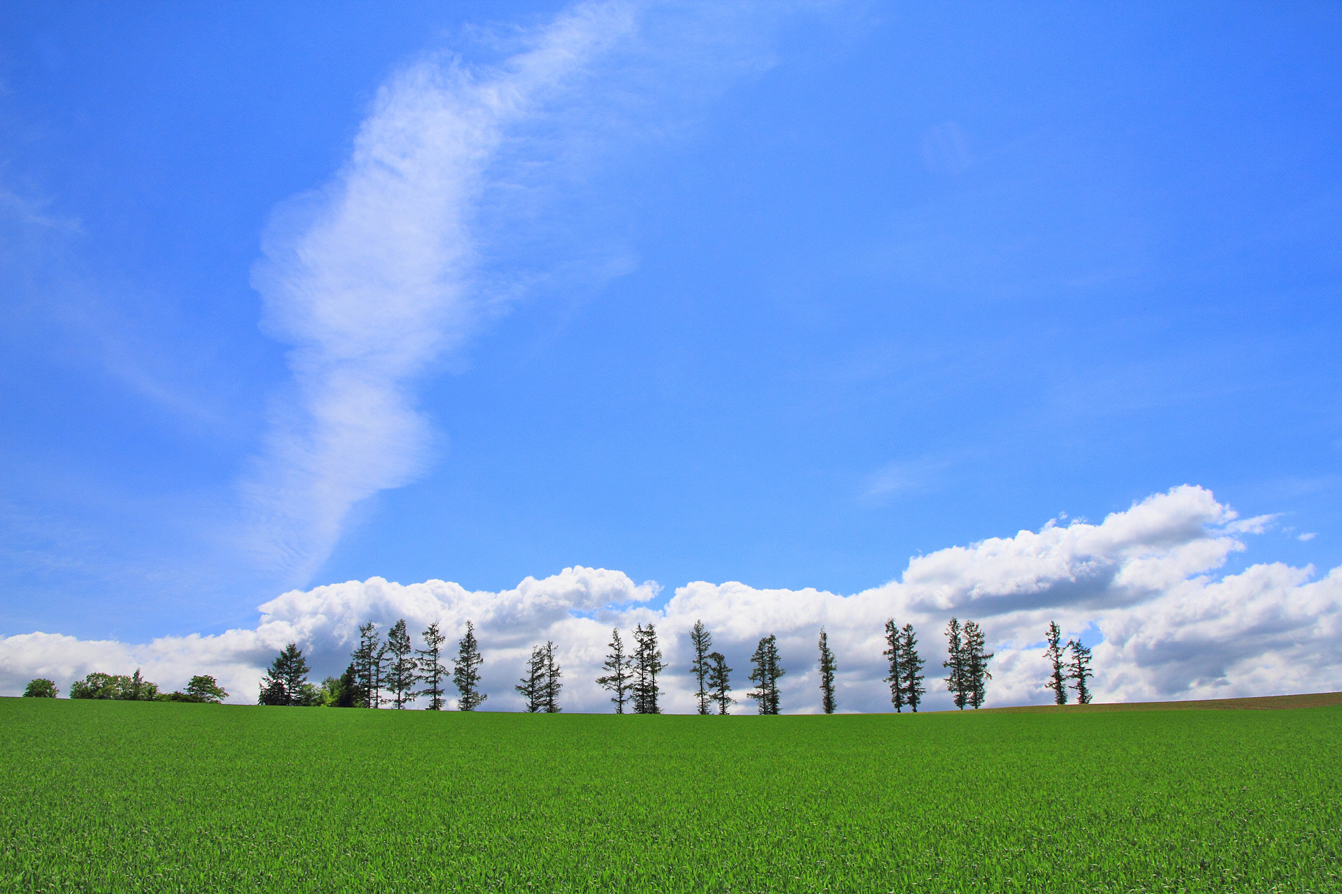日本の風景 美瑛の初夏25 丘と雲 壁紙19x1280 壁紙館