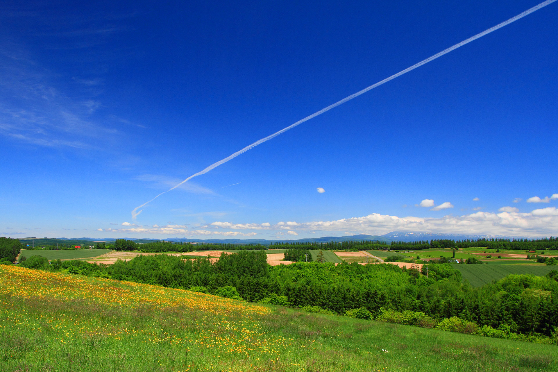 日本の風景 美瑛の初夏26 夏空の飛行機雲 壁紙19x1280 壁紙館