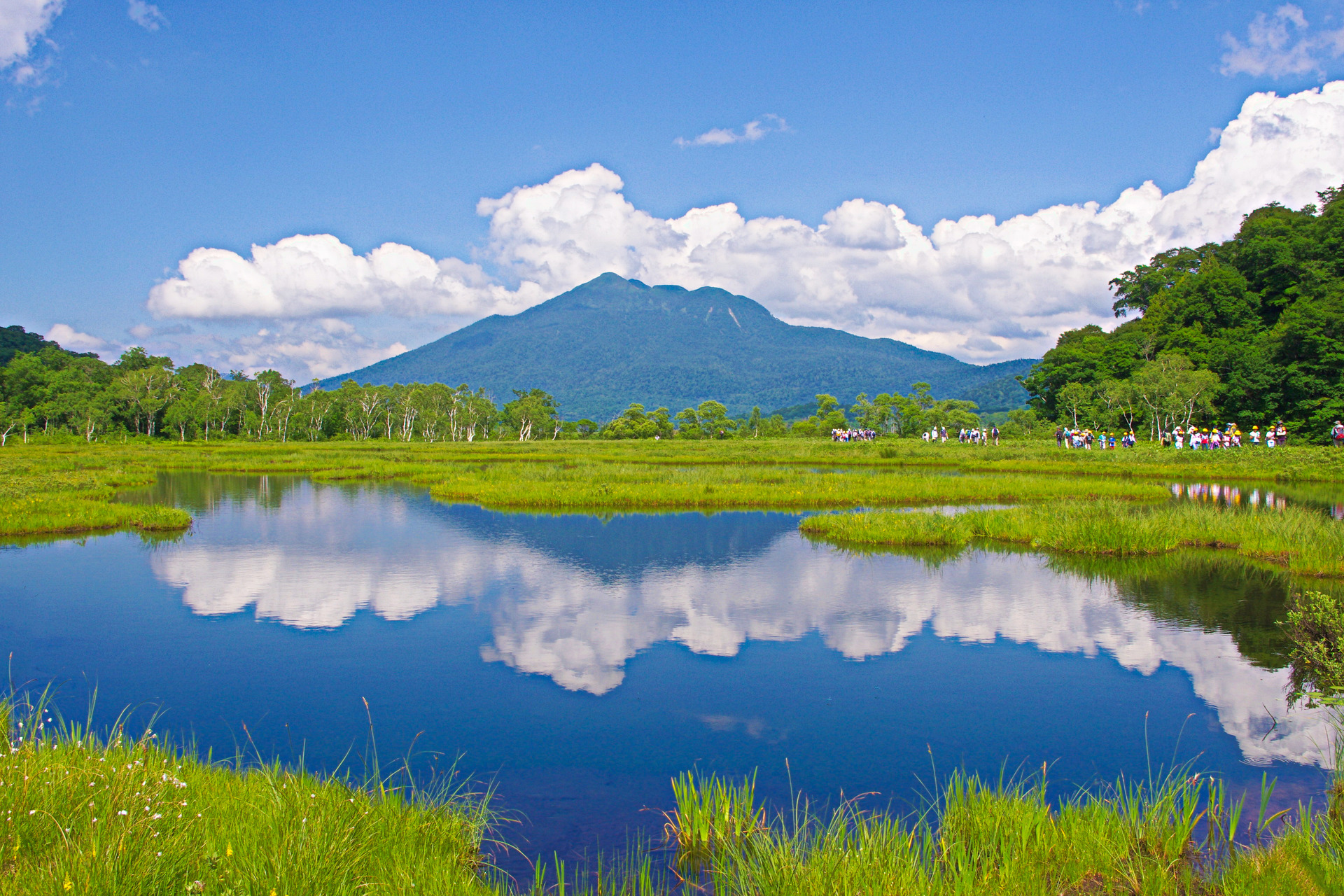 日本の風景 夏の尾瀬 壁紙19x1280 壁紙館