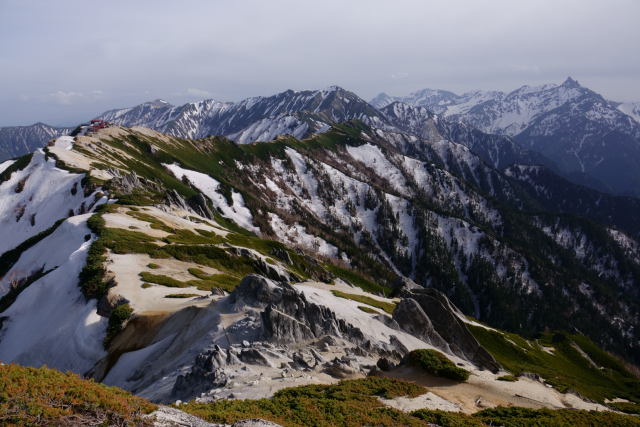 午後の銀座通り
