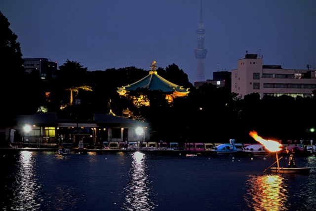 不忍池の夜景