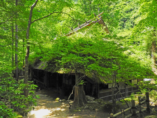 森の古民家