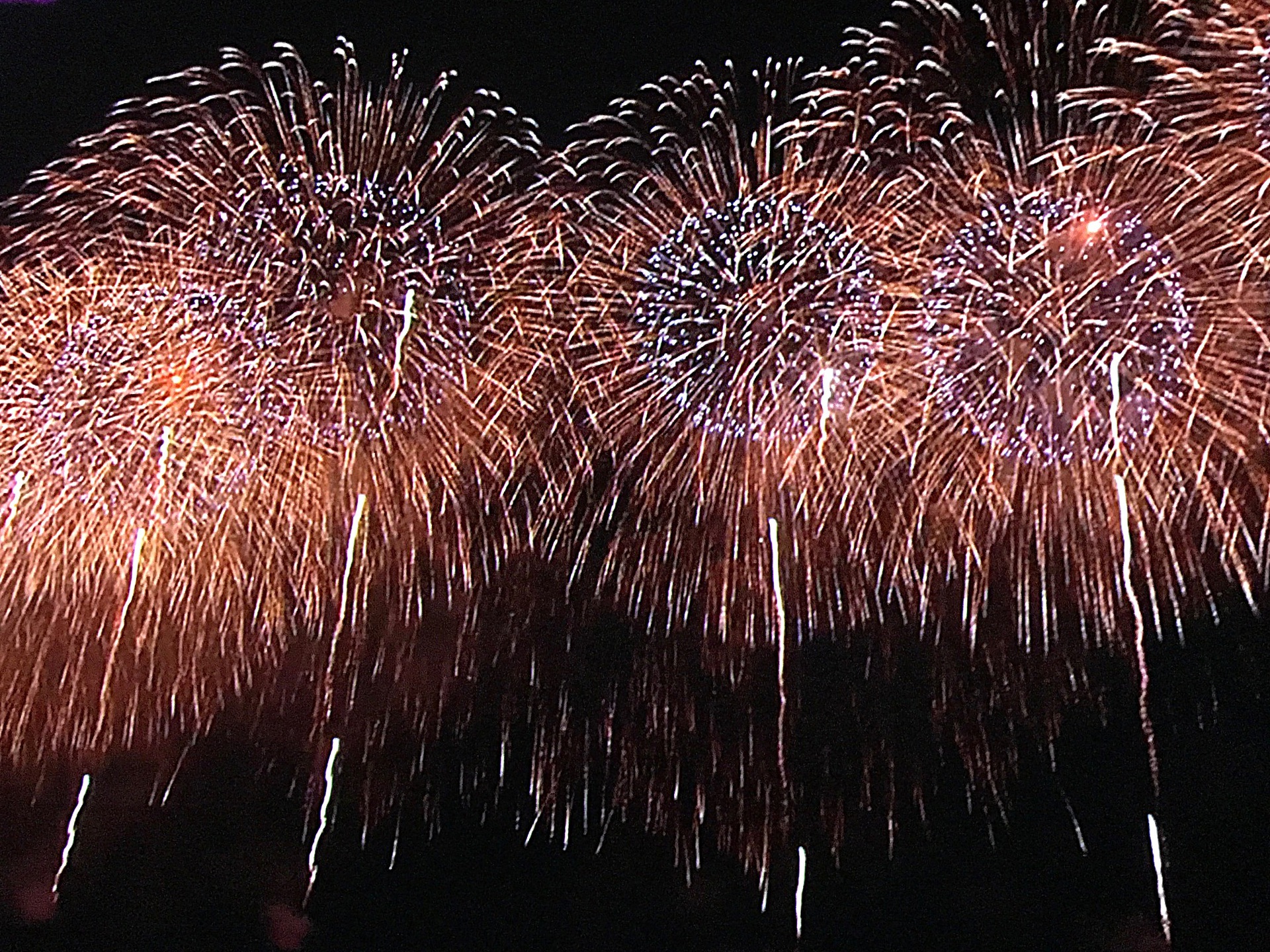 ベストデスクトップ 壁紙 花火 最高の花の画像