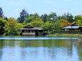 日本庭園水辺の風景