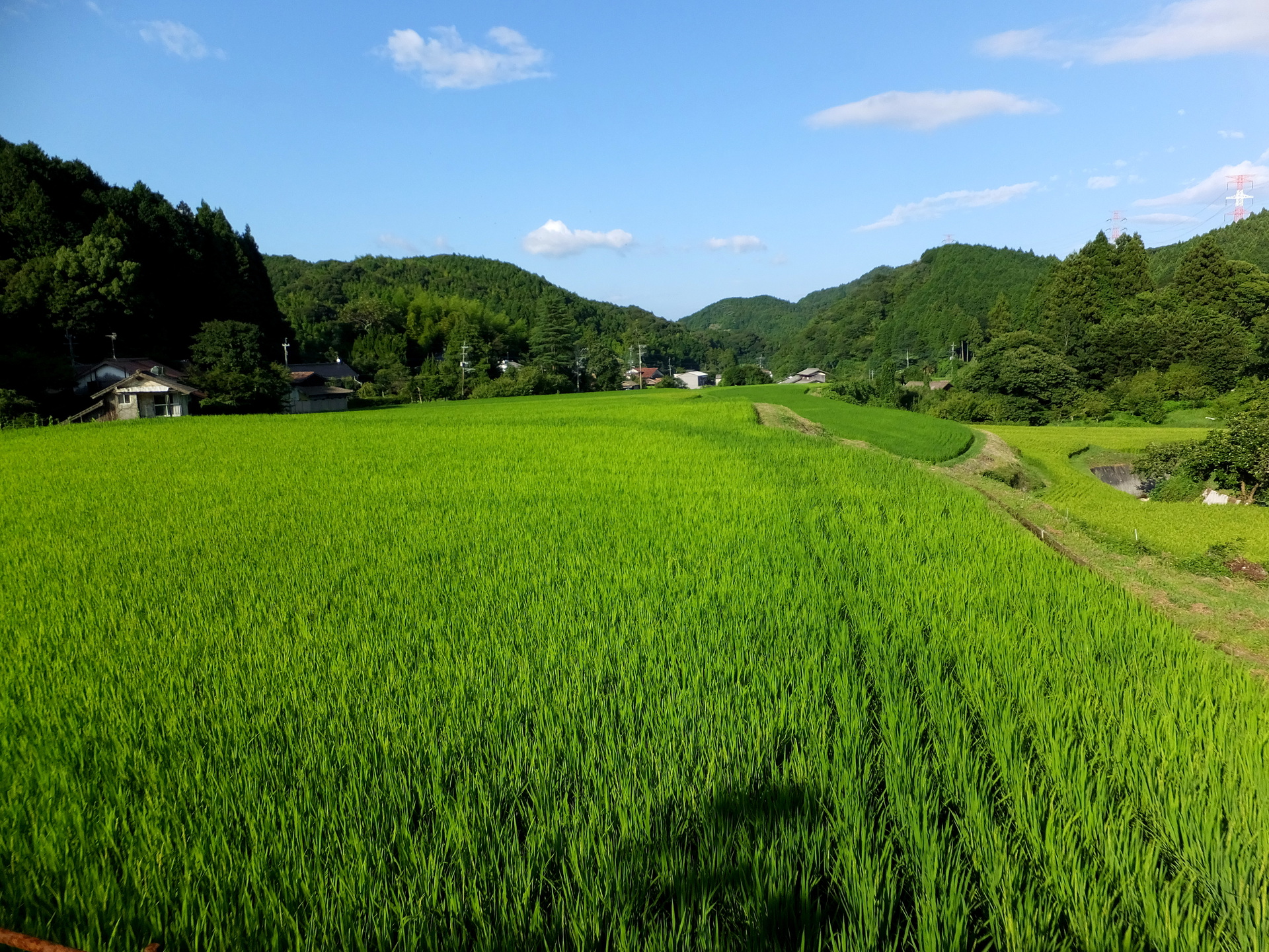 日本の風景 山間部に広がる緑の田 壁紙19x1440 壁紙館