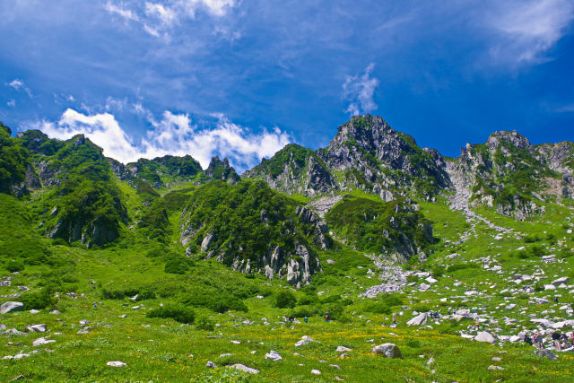 夏の千畳敷カール