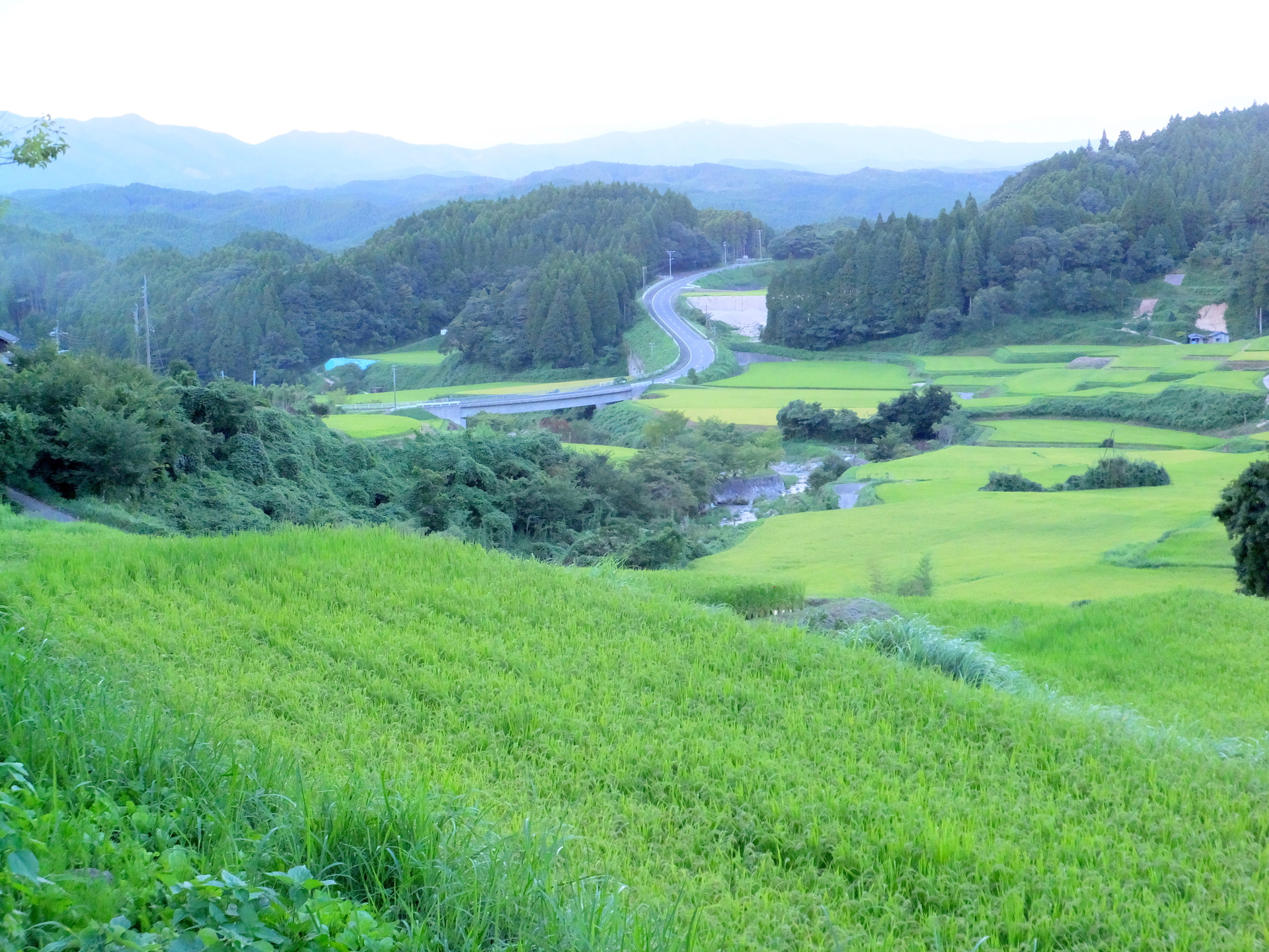 日本の風景 8月中旬 山間部風景 壁紙19x1440 壁紙館