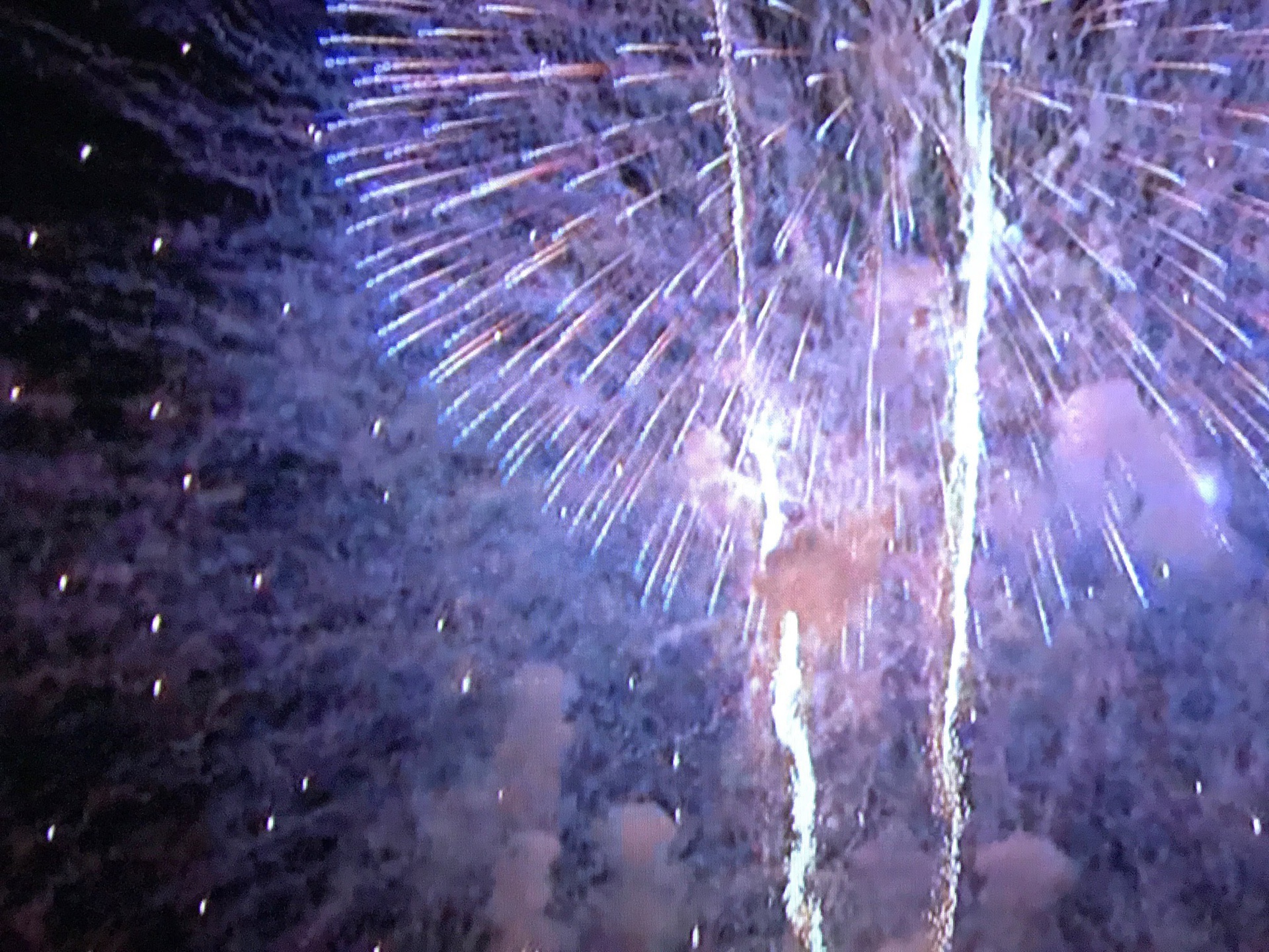 夜景 花火 イルミ 涼しげな花火 壁紙19x1440 壁紙館