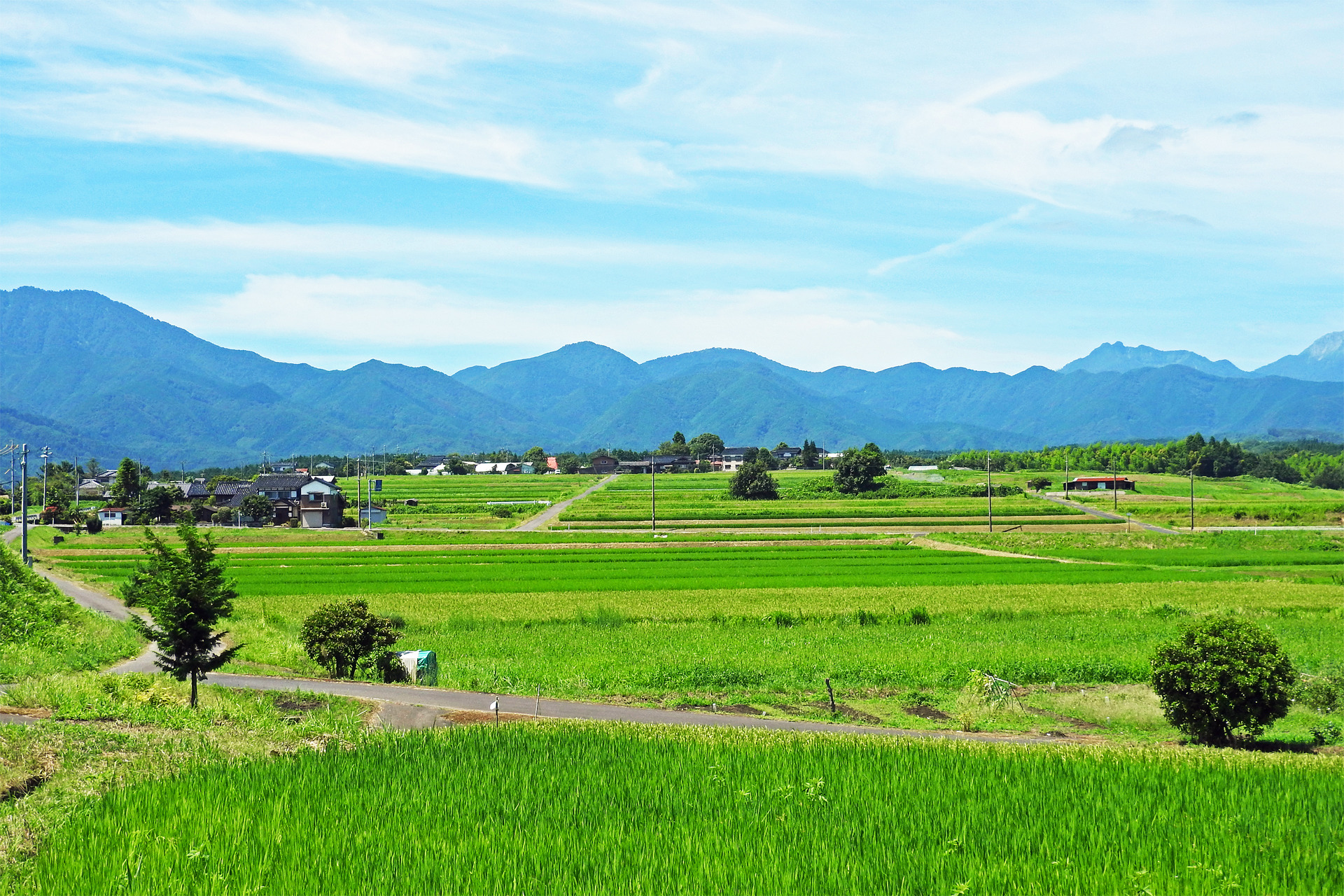 日本の風景 夏の田園風景 壁紙19x1280 壁紙館