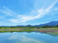 大山池 夏